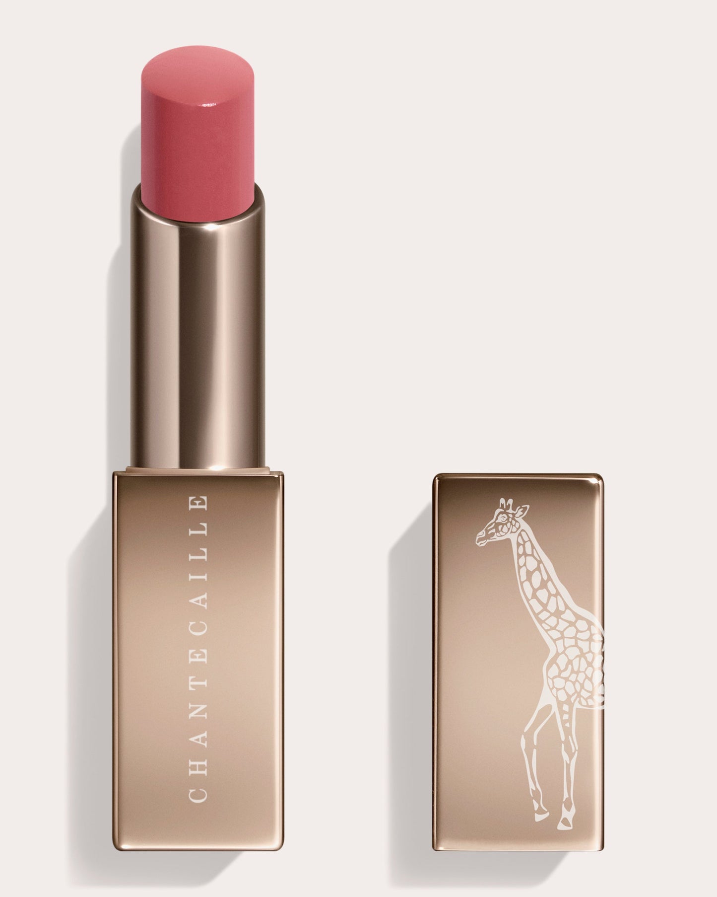 Lip Chic in Willow