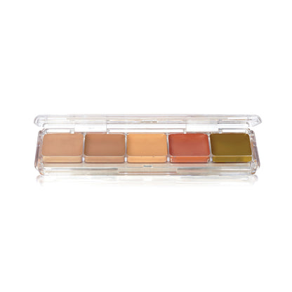 Alcohol Concealer Palette