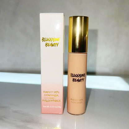 PERFECT SKIN CONCEALER
